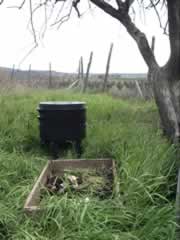 Voici la ferme à vers qui contient le souche de vers "Dendrabaena"